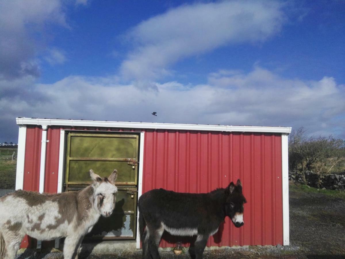 Villa The Wild Atlantic Way Barn Oranmore Esterno foto